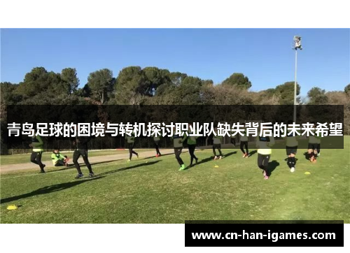 青岛足球的困境与转机探讨职业队缺失背后的未来希望
